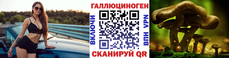 Псилоцибиновые грибы GOLDEN TEACHER магазин продажи наркотиков Норильск